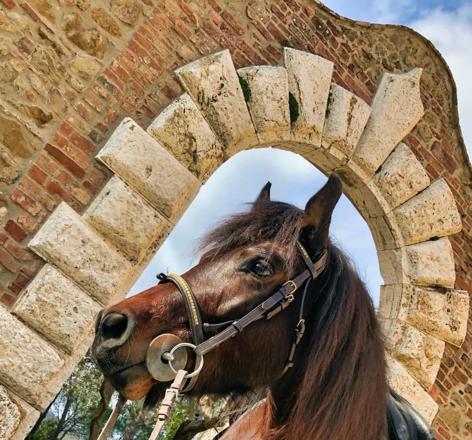 Tenuta I Mandorli ペッチョリ エクステリア 写真